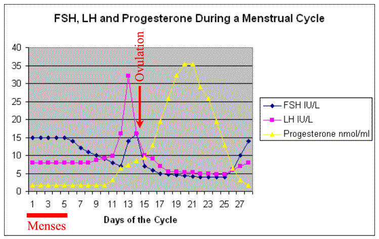 Abnormal Bleeding